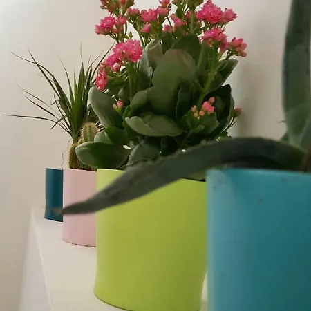 Appartement Casa Di Arianna *