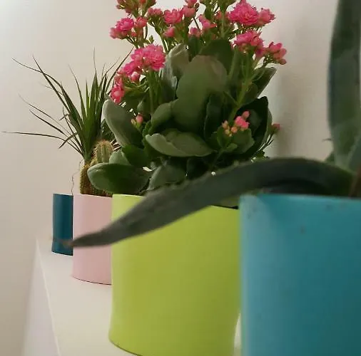 Appartement Casa Di Arianna *